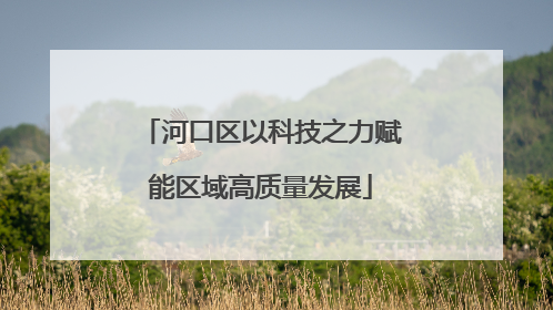 河口区以科技之力赋能区域高质量发展