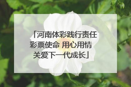 河南体彩践行责任彩票使命 用心用情关爱下一代成长