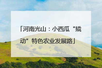 河南光山：小西瓜“撬动”特色农业发展路