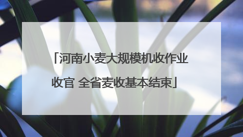 河南小麦大规模机收作业收官 全省麦收基本结束