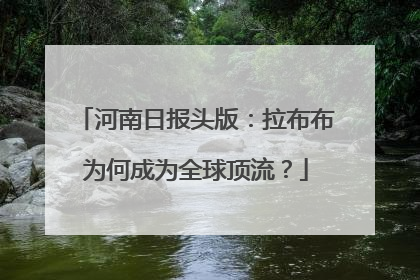 河南日报头版：拉布布为何成为全球顶流？