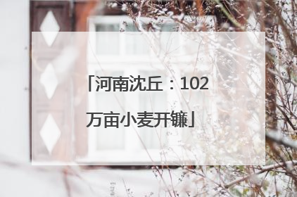 河南沈丘：102 万亩小麦开镰