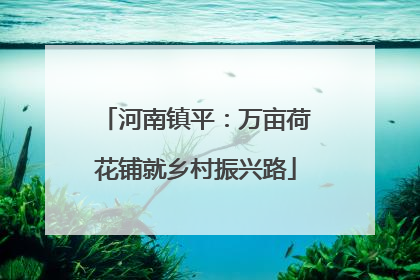 河南镇平：万亩荷花铺就乡村振兴路