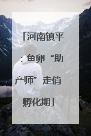河南镇平：鱼卵“助产师”走俏孵化期