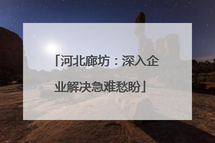 河北廊坊：深入企业解决急难愁盼