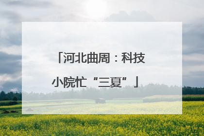 河北曲周：科技小院忙“三夏”