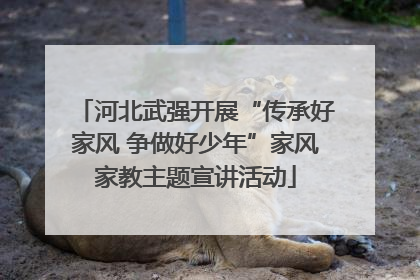 河北武强开展“传承好家风 争做好少年”家风家教主题宣讲活动