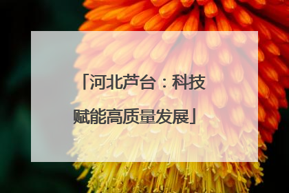 河北芦台：科技赋能高质量发展