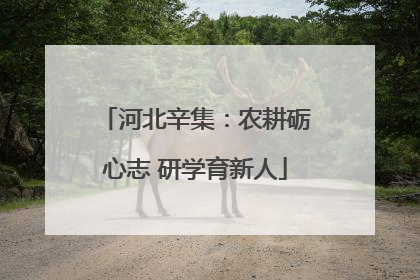 河北辛集：农耕砺心志 研学育新人