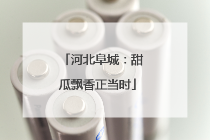 河北阜城：甜瓜飘香正当时