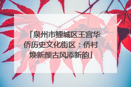 泉州市鲤城区王宫华侨历史文化街区：侨村焕新颜古风添新韵