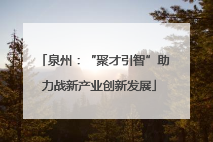 泉州：“聚才引智”助力战新产业创新发展