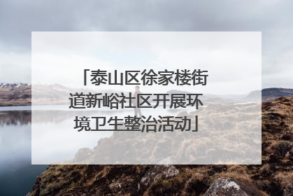 泰山区徐家楼街道新峪社区开展环境卫生整治活动