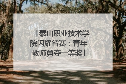 泰山职业技术学院闪耀省赛：青年教师勇夺一等奖