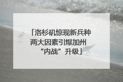 洛杉矶惊现新兵种 两大因素引爆加州“内战”升级