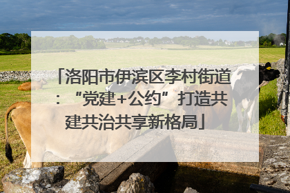 洛阳市伊滨区李村街道：“党建+公约”打造共建共治共享新格局
