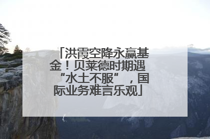 洪霞空降永赢基金！贝莱德时期遇“水土不服”，国际业务难言乐观