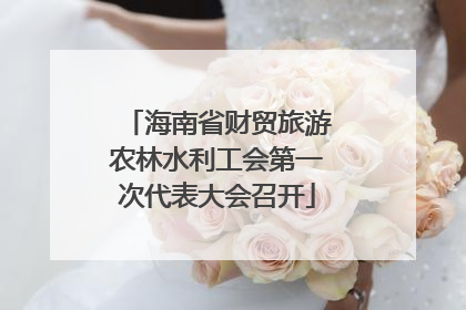 海南省财贸旅游农林水利工会第一次代表大会召开