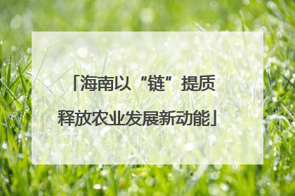 海南以“链”提质 释放农业发展新动能