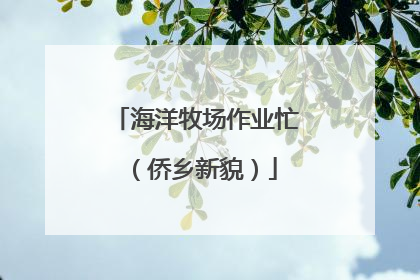 海洋牧场作业忙（侨乡新貌）