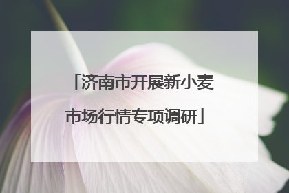 济南市开展新小麦市场行情专项调研