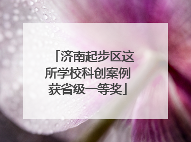济南起步区这所学校科创案例获省级一等奖