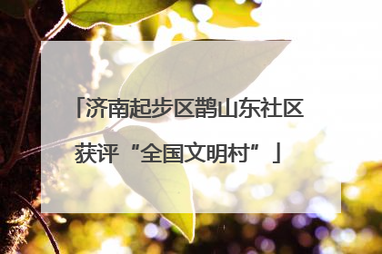 济南起步区鹊山东社区获评“全国文明村”