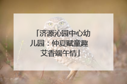 济源沁园中心幼儿园：仲夏赋童趣 艾香端午情