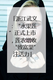浙江武义：“水果莲”正式上市，莲农增收“致富果”注活力