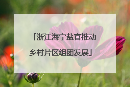 浙江海宁盐官推动乡村片区组团发展