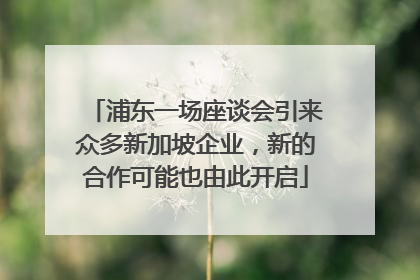 浦东一场座谈会引来众多新加坡企业，新的合作可能也由此开启
