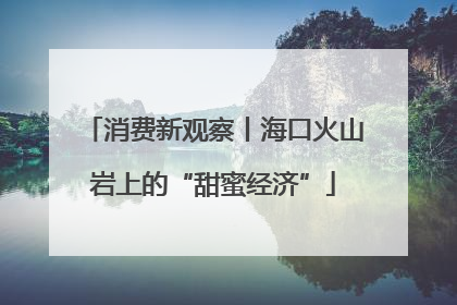 消费新观察丨海口火山岩上的“甜蜜经济”