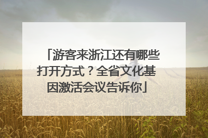游客来浙江还有哪些打开方式？全省文化基因激活会议告诉你