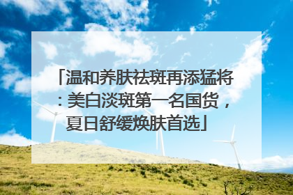 温和养肤祛斑再添猛将：美白淡斑第一名国货，夏日舒缓焕肤首选