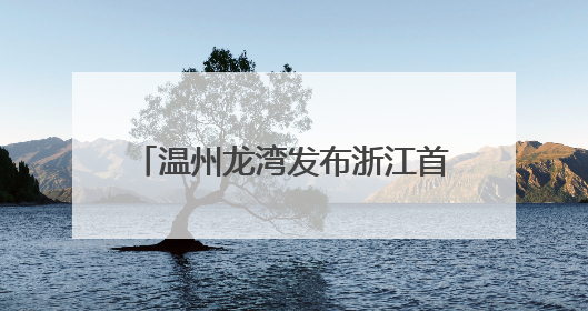 温州龙湾发布浙江首个地方性足球新政