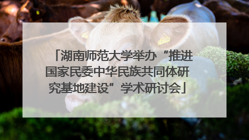 湖南师范大学举办“推进国家民委中华民族共同体研究基地建设”学术研讨会