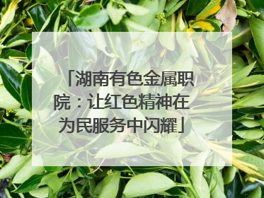 湖南有色金属职院：让红色精神在为民服务中闪耀