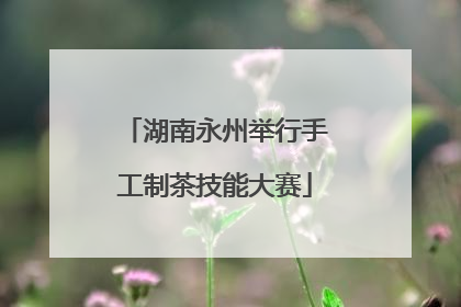 湖南永州举行手工制茶技能大赛