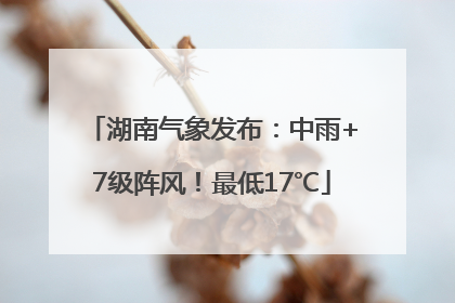 湖南气象发布：中雨+7级阵风！最低17℃