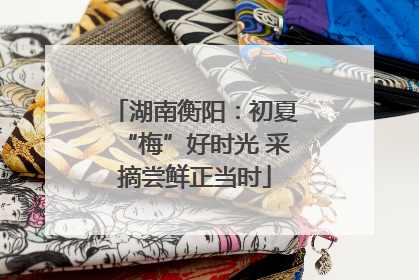 湖南衡阳：初夏“梅”好时光 采摘尝鲜正当时