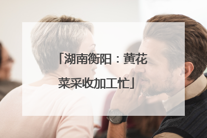 湖南衡阳：黄花菜采收加工忙