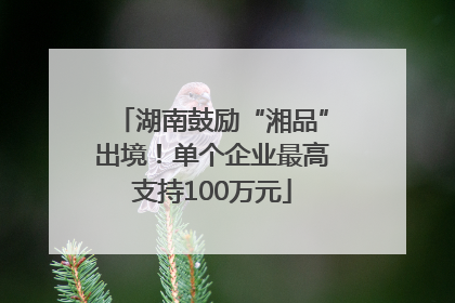 湖南鼓励“湘品”出境！单个企业最高支持100万元