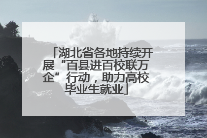 湖北省各地持续开展“百县进百校联万企”行动，助力高校毕业生就业