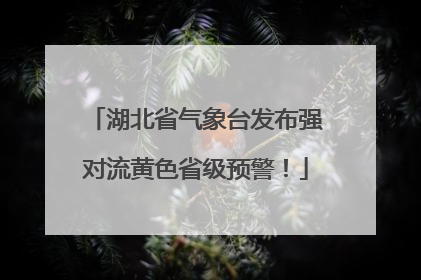 湖北省气象台发布强对流黄色省级预警！