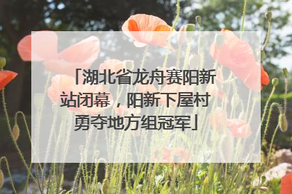 湖北省龙舟赛阳新站闭幕，阳新下屋村勇夺地方组冠军
