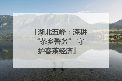湖北五峰：深耕“茶乡警务” 守护春茶经济