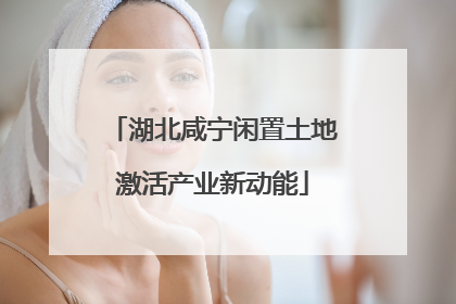 湖北咸宁闲置土地激活产业新动能