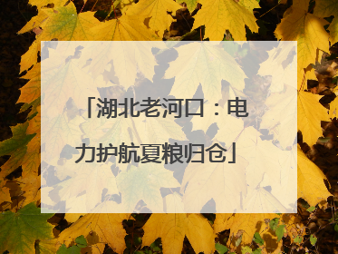 湖北老河口：电力护航夏粮归仓