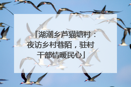湖潮乡芦猫塘村：夜访乡村巷陌，驻村干部情暖民心