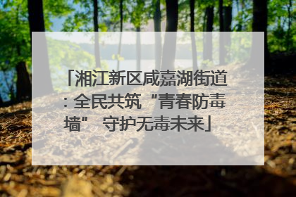 湘江新区咸嘉湖街道：全民共筑“青春防毒墙” 守护无毒未来